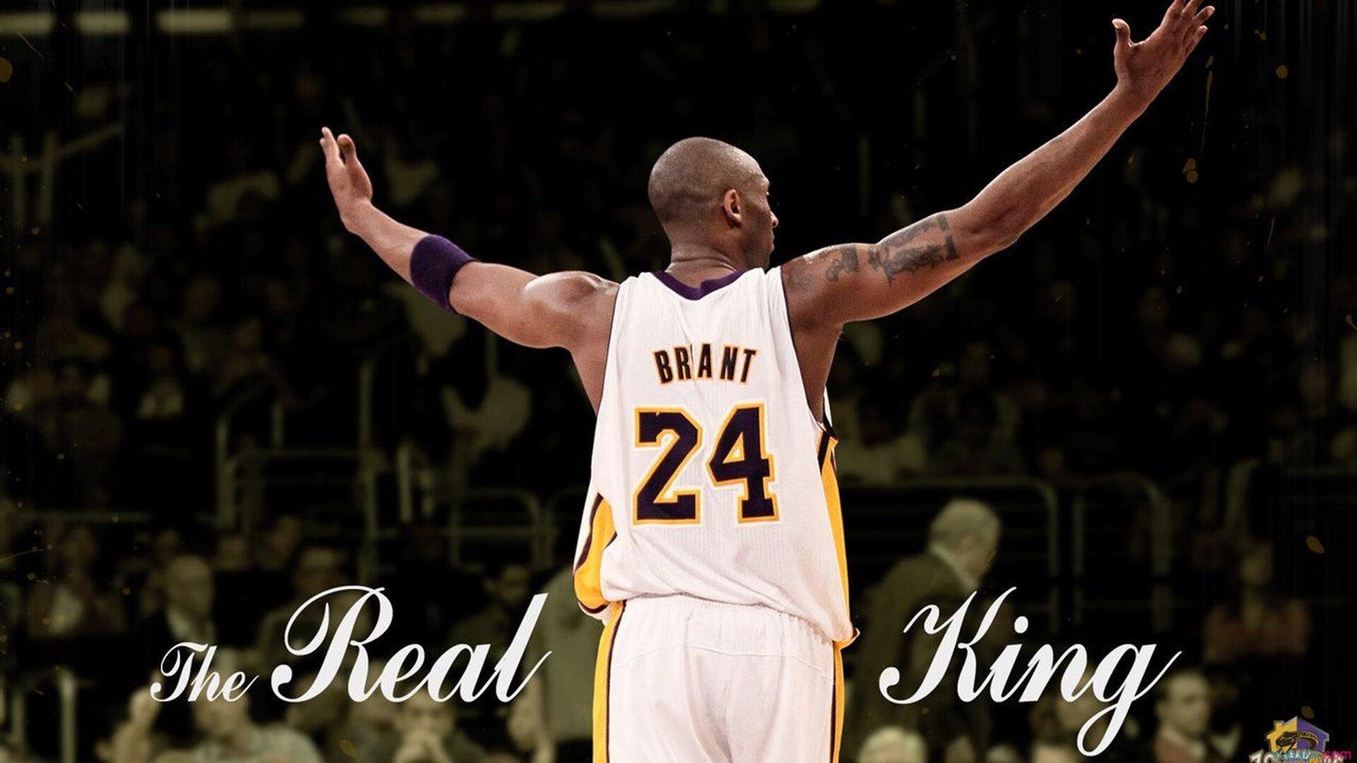 马龙扛起全队，葡萄牙队横扫奥地利队—团队核心与集体荣耀的交响